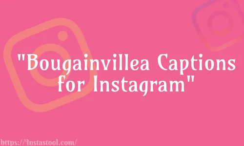 Bougainvillea Captions For Instagram
