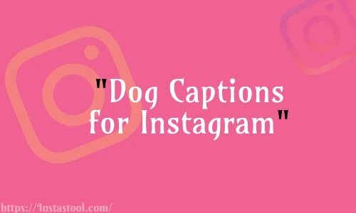 Dog Captions for Instagram Free